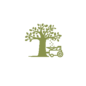 home icon1