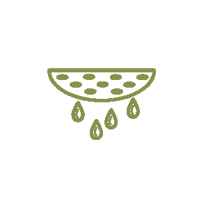 home icon7