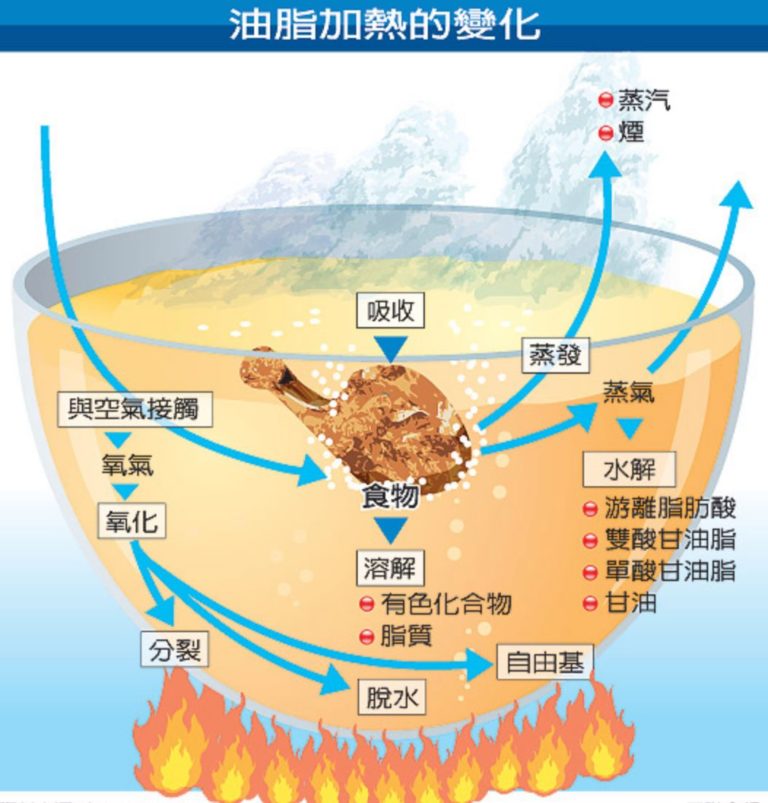 油脂加熱的變化